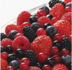 Lesn zmes 2,5kg ARDO