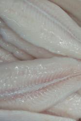 Pangasius filet 5%